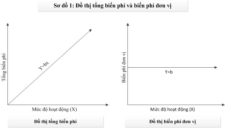 tong bien phi và bien phi dơn vi