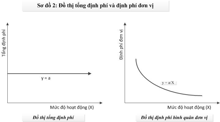 Tong dinh phi và dịnh phi don vi