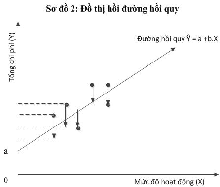 Do thi duong hoi quy
