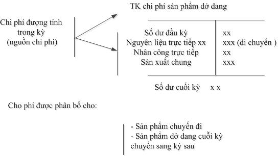 phan bo CP